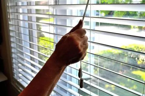 漢獅百葉
